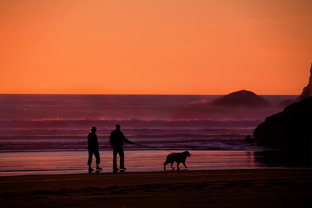 retirement planning, financial planning, retirement