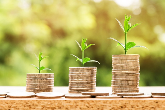 Financial Advisor, Retirement, Financial Management, Wealth Management