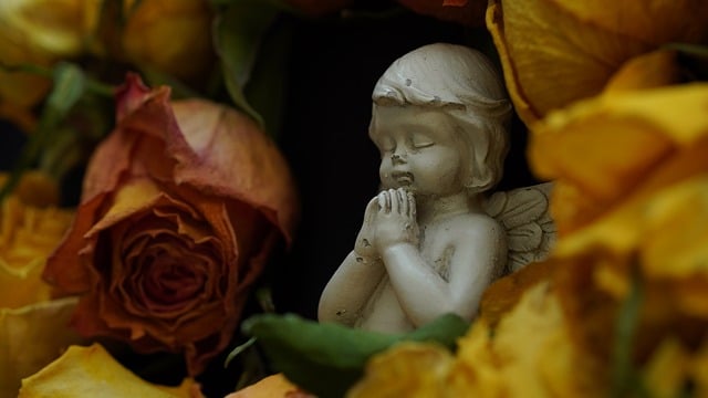 Funeral Costs, Funeral Insurance Costs 
