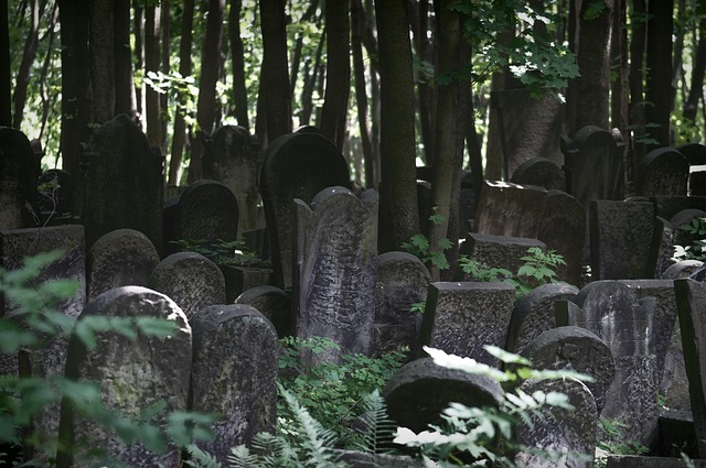 Funeral Costs, Funeral Insurance Costs 