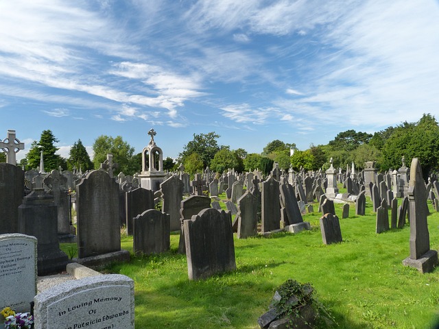 Funeral Expense Coverage, Funeral Expense Options, Funeral