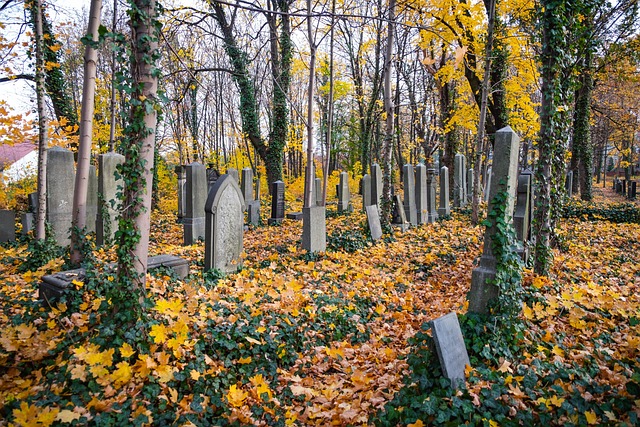 Navigating Funeral Expense Options for Bad Credit: Top 10 Plans