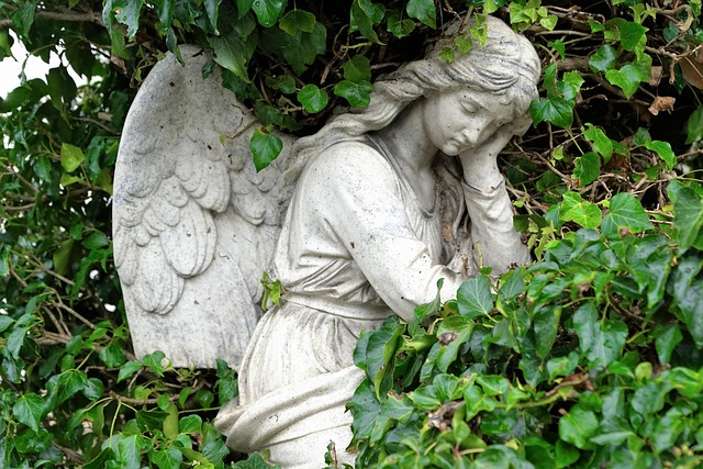 Funeral Plan Benefits, Funeral Plan 