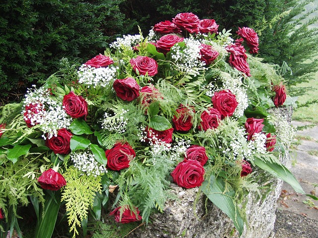 Funeral Plan, Funeral Policy