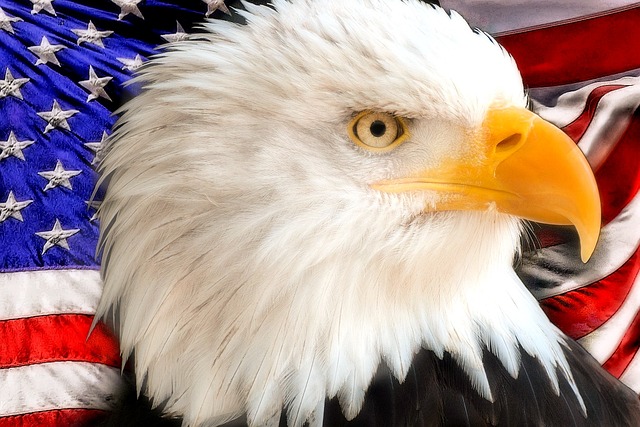 Retire Early, Financial Independence