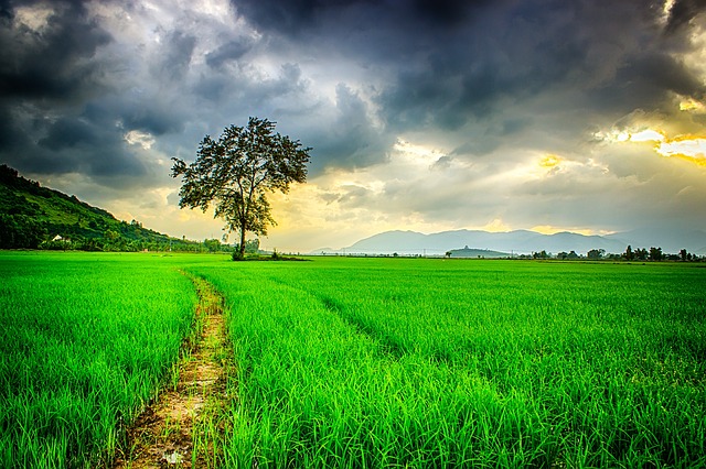 Retire Early, Financial Independence