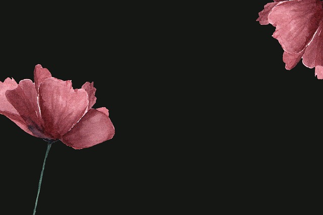 funeral, funeral costs, Insurance for Funeral
