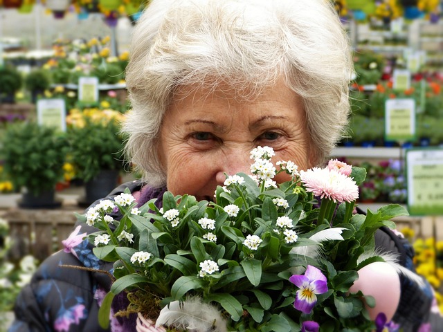 retirement, strategies, happy old people