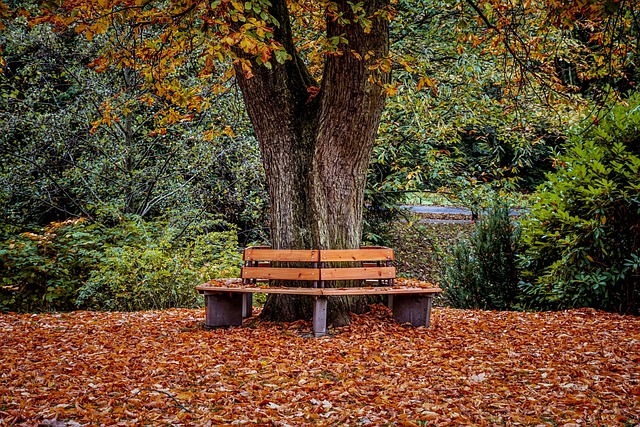 retirement, strategies, happy old people