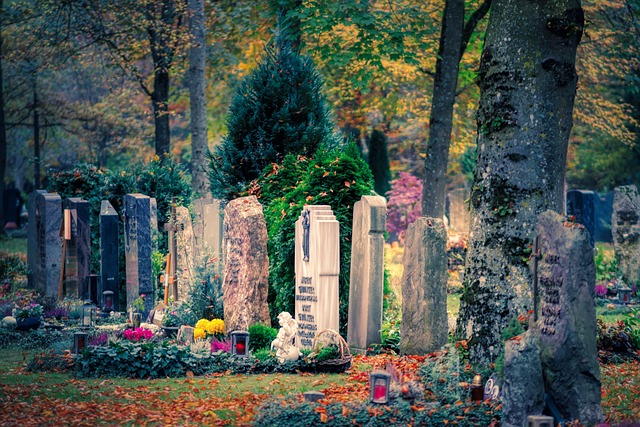 Cost Of Funeral Insurance
