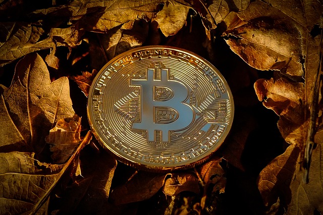 Crypto Assets Taxation, Crypto Assets, Crypto Taxation
