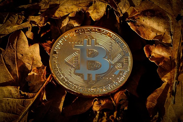 Cryptocurrency investments