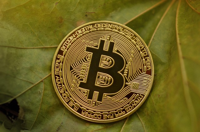 Cryptocurrency investments