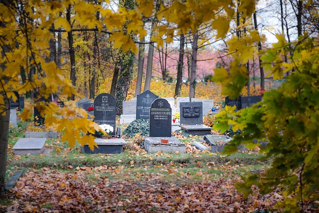Dignified Funeral Plans