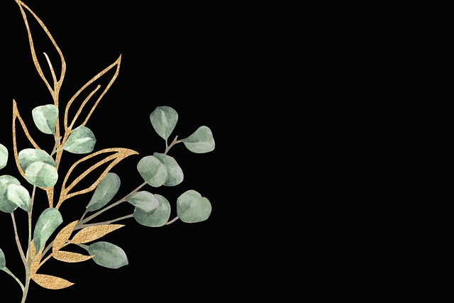Dignified Funeral Plans