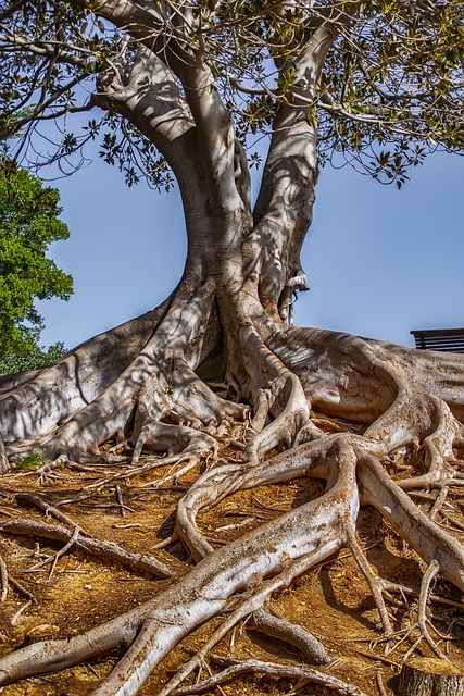 Estate Duty Planning, Inheritance Tax