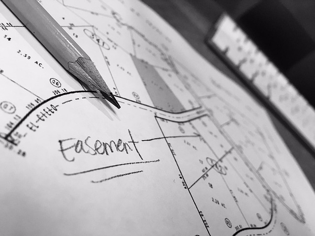 Estate Planning