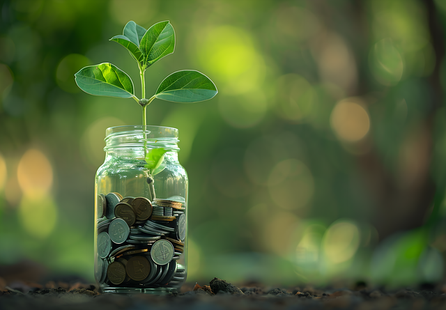 Financial Planning, Wealth Preservation
