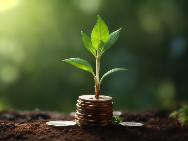 Financial Planning, Wealth Preservation