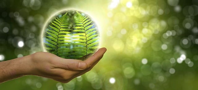 Financial Protection Planning