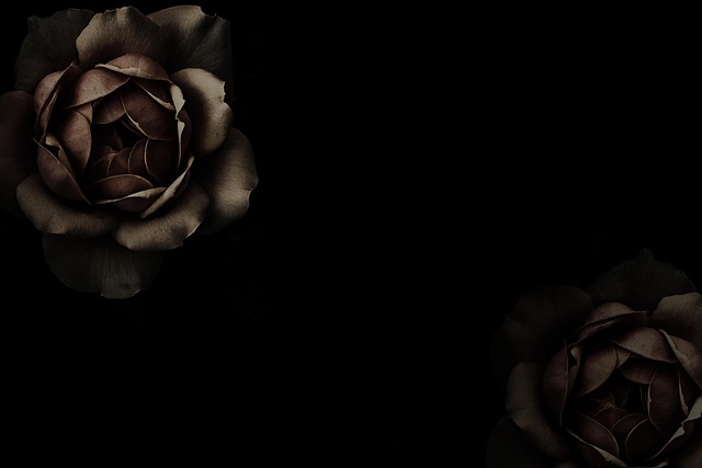 funeral-assistance-640x480-87071221.jpeg