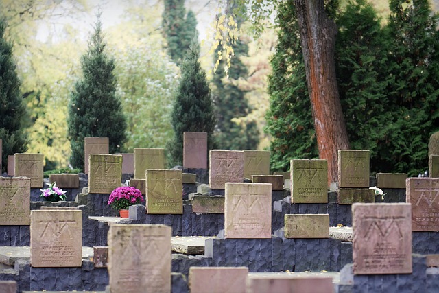 funeral-assistance-640x480-9293563.jpeg
