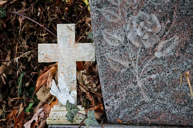 Funeral Costs, Funeral Insurance Costs
