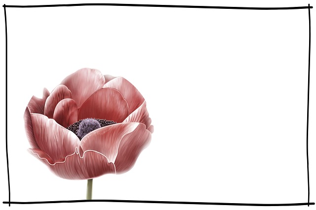 Funeral Costs, Funeral Insurance Costs 