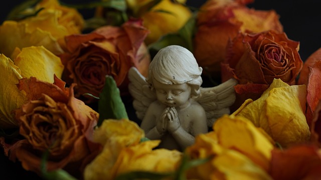 Funeral Expense Coverage, Funeral Expense Options, Funeral