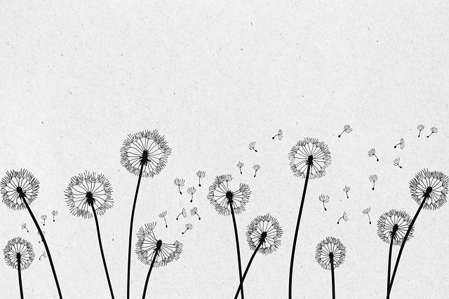 Protect Your Business from Financial Burden of Funerals: Explore Coverage Options & Mitigate Risks