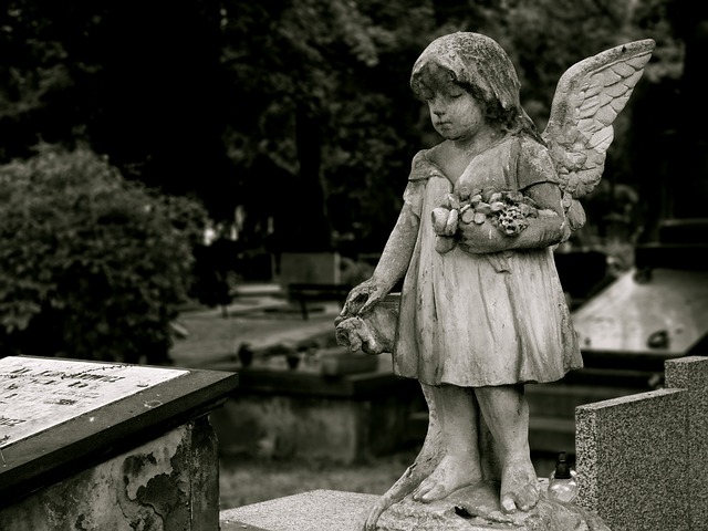 Funeral Expense Coverage, Funeral Expense Options, Funeral