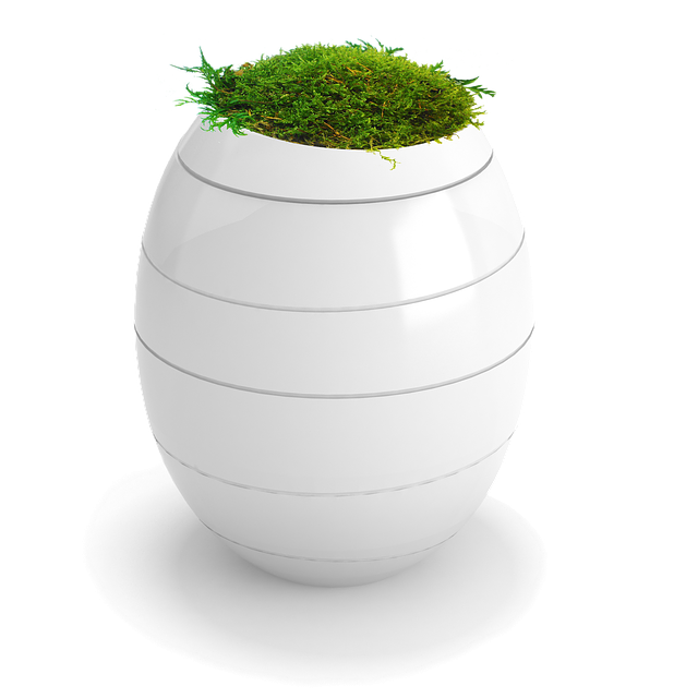 Funeral Expense Coverage, Funeral Expense Options, Funeral