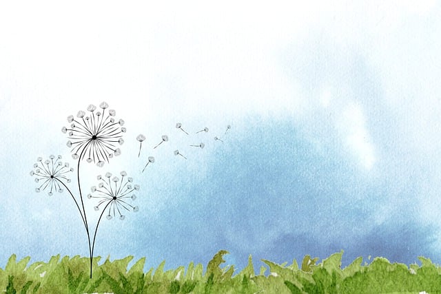 funeral, funeral costs, Insurance for Funeral