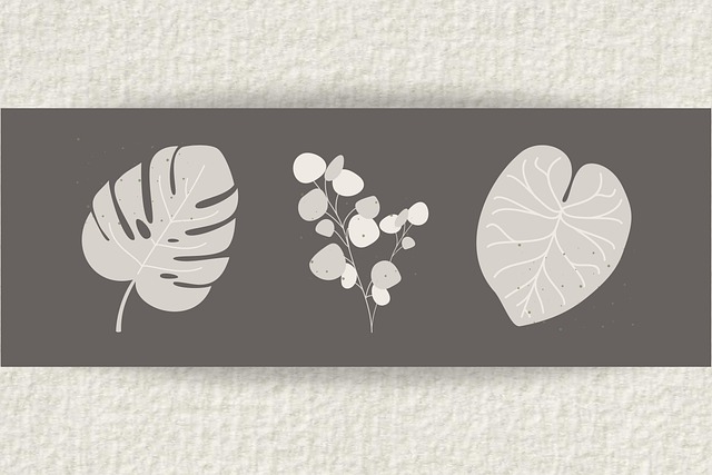 funeral, funeral costs, Insurance for Funeral