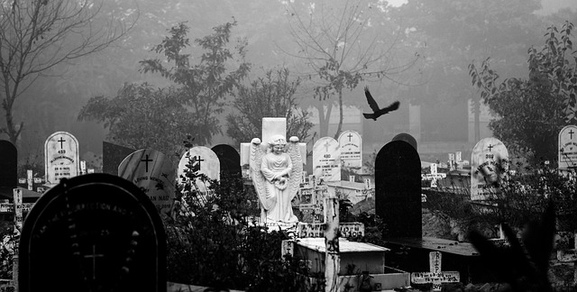 Funeral Insurance, funeral