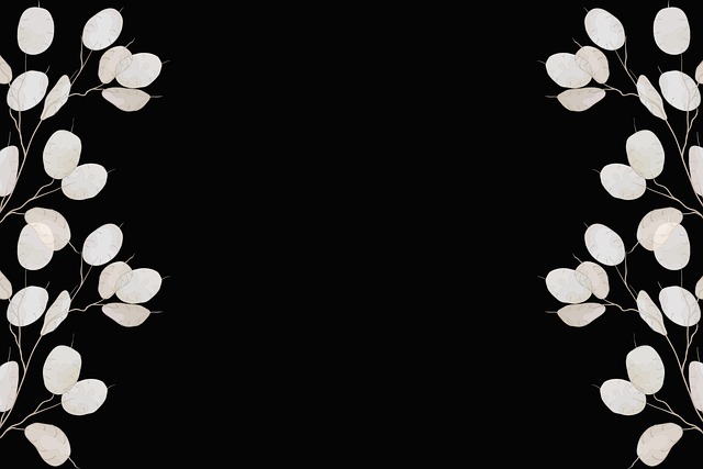 Funeral Insurance, funeral