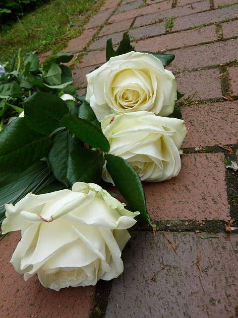 funeral-insurance-funeral-640x480-54428301.jpeg