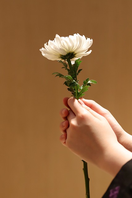 funeral-insurance-quotes-640x480-23950601.jpeg