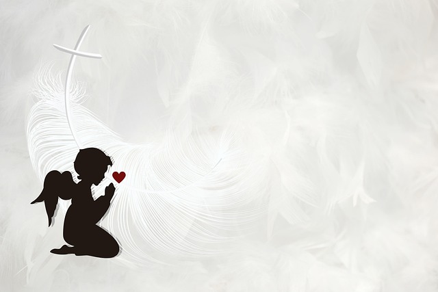 Funeral Plan Benefits, Funeral Plan 