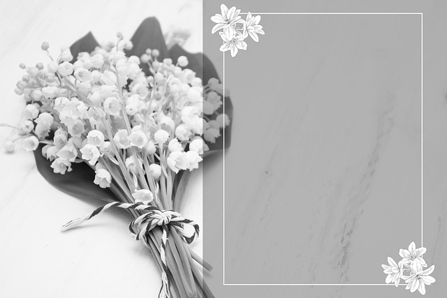 Funeral Plan Benefits, Funeral Plan 