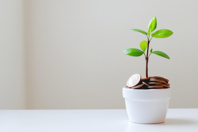 Independent Financial Advisors