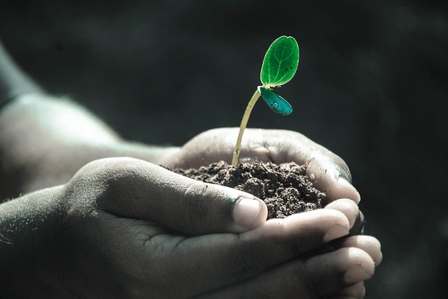 Inheritance Planning, Life Insurance Payouts 