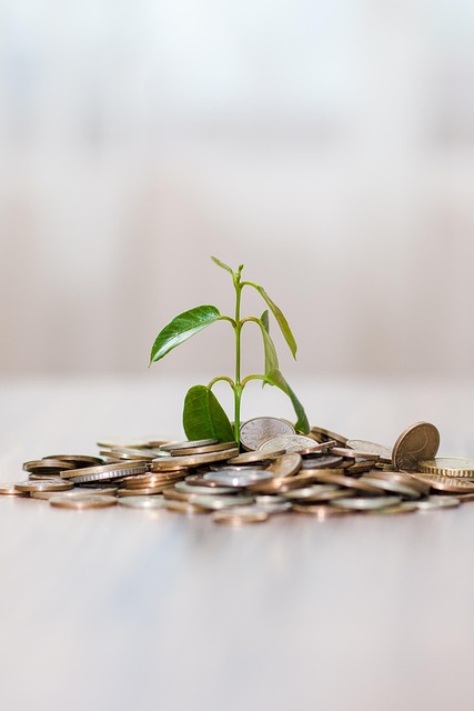 Investment Bank