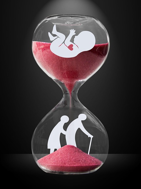 life insurance