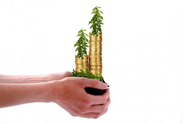 Unmask Hidden Costs: Avoid Debt Relief Counseling Traps & Save Money