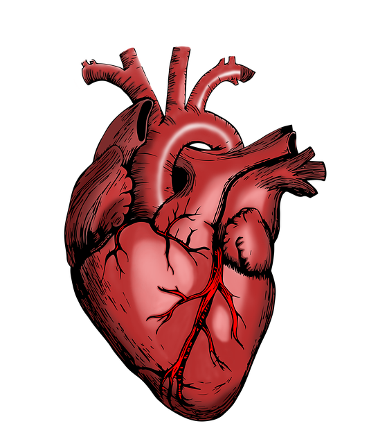 medical-aid-health-insurance-640x480-24626867.png