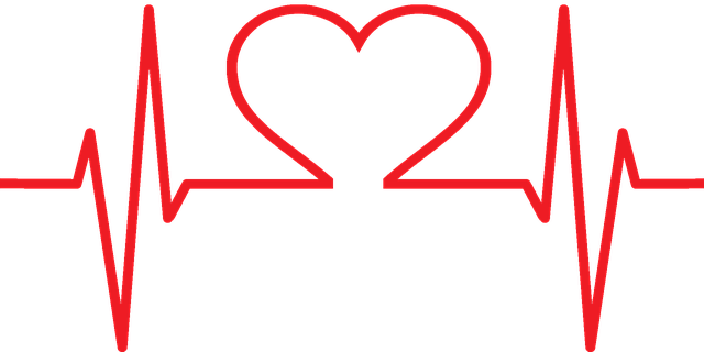 Medical Aid, Health Insurance