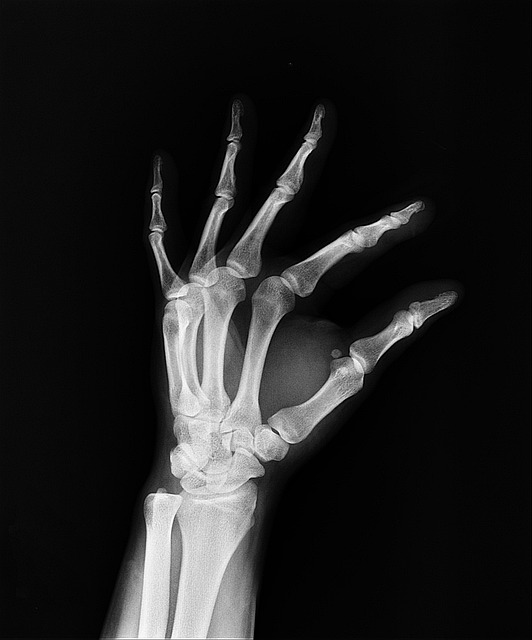 Medical Insurance Plans