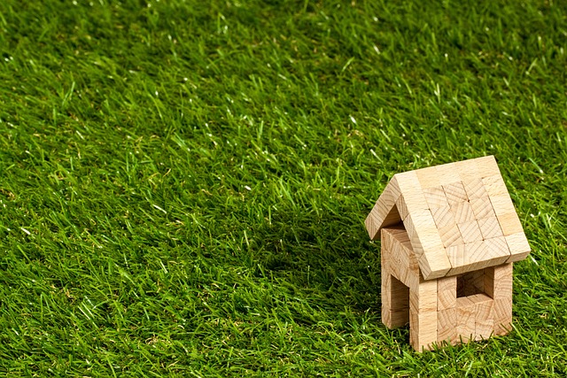 Pension-Backed Home Loans