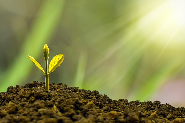 Private Wealth Management